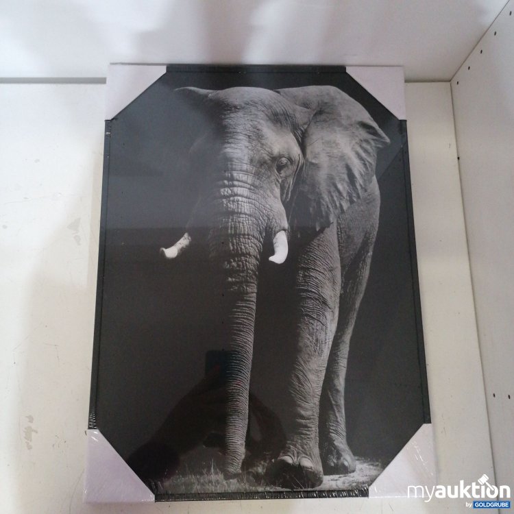 Artikel Nr. 424002: Wandbild Elephant 