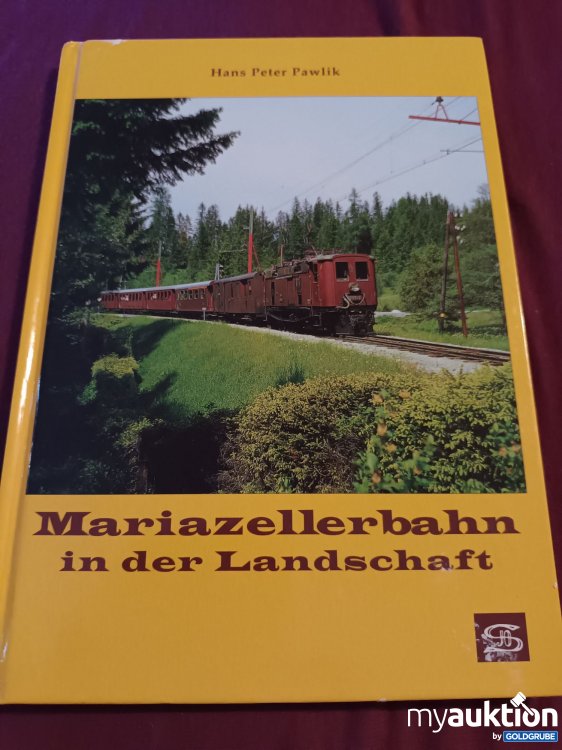 Artikel Nr. 390008: Mariazellerbahn in der Landschaft 