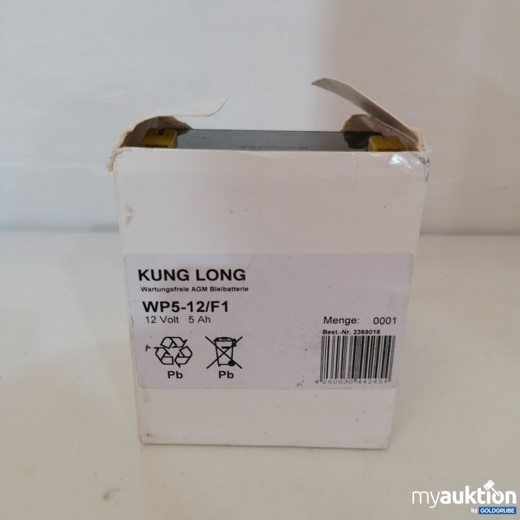 Artikel Nr. 758008: Kung Long WP5-12/F1 12 Volt 5Ah