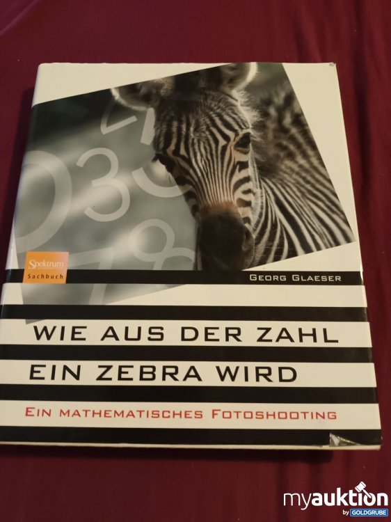 Artikel Nr. 390011: Wie aus der Zahl ein Zebra wird 