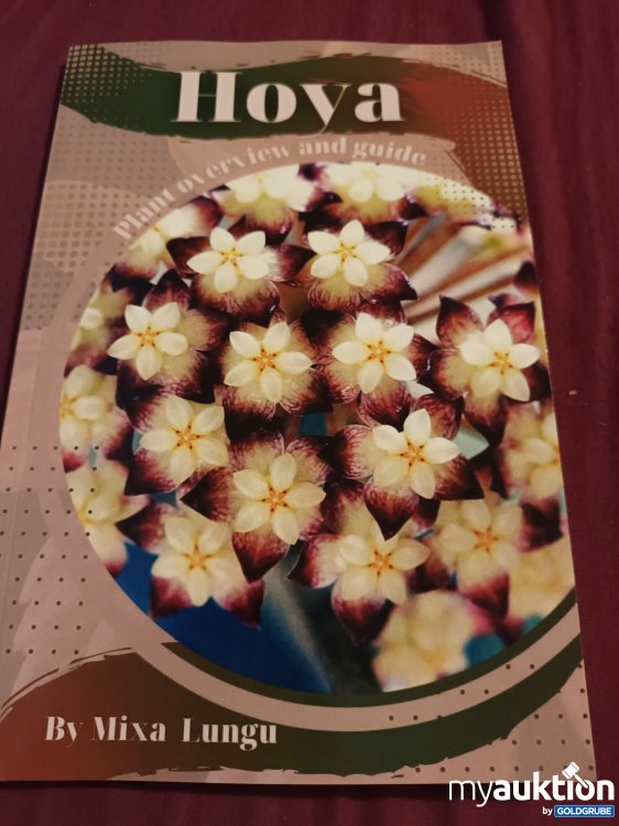 Artikel Nr. 390015: Hoya