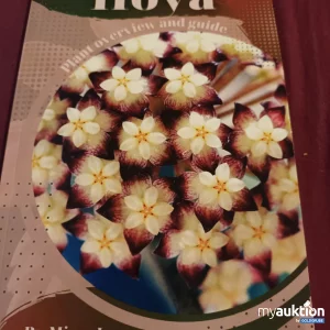 Artikel Nr. 390015: Hoya