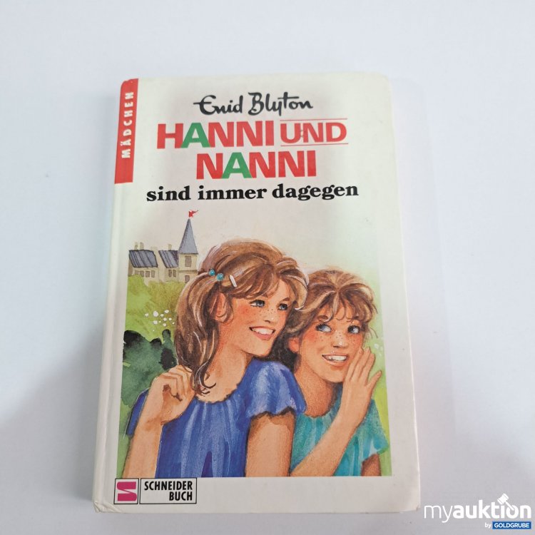 Artikel Nr. 795035: Hanni und Nanni Buch