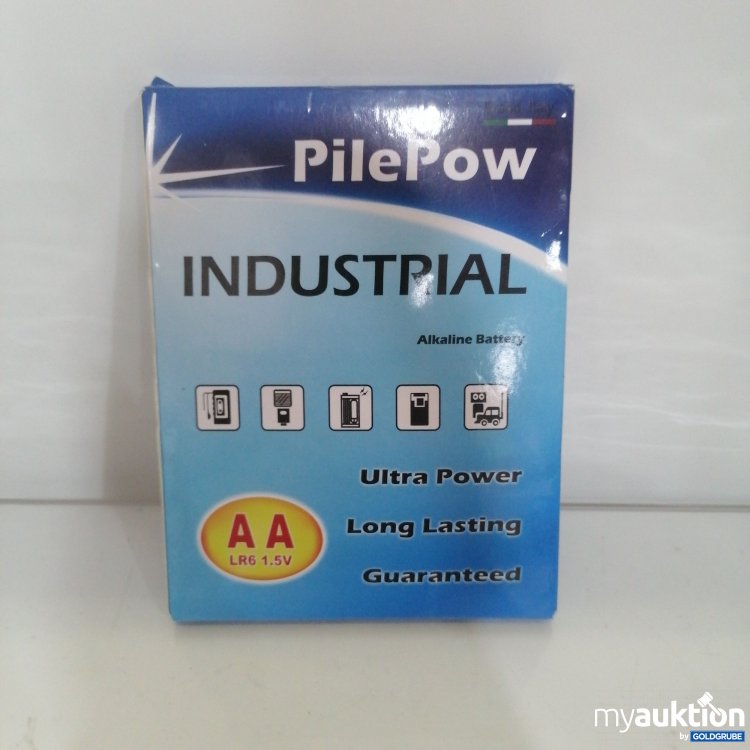 Artikel Nr. 748036: PilePow Industrial AA LR6