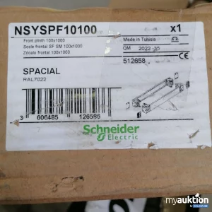 Auktion Schneider Electricc Spacial  NSYSPF 10100