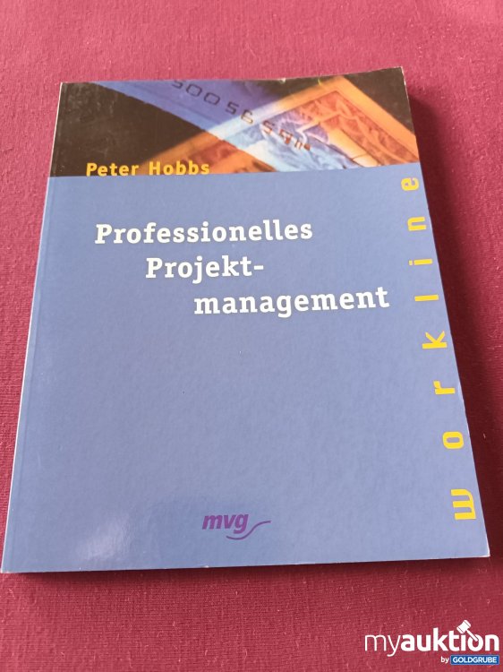 Artikel Nr. 398061: Professionelles Projektmanagement 