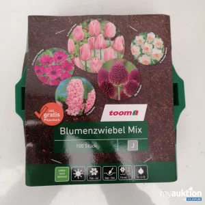 Artikel Nr. 341066: Toom Blumenzwiebel Mix 100stk 