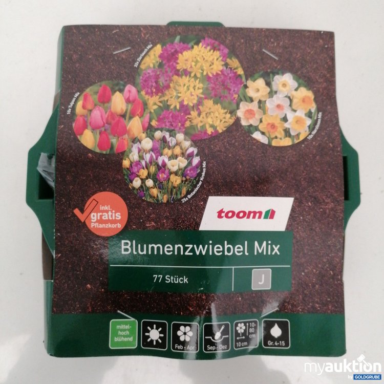 Artikel Nr. 341067: Toom Blumenzwiebel Mix 77stk 