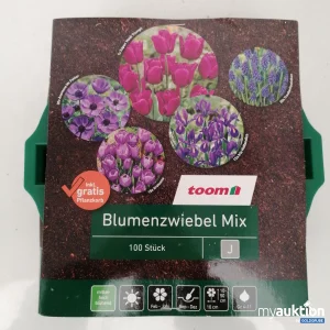 Auktion Toom Blumenzwiebel Mix 100stk 