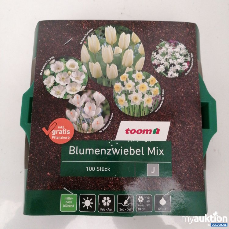 Artikel Nr. 341069: Blumenzwiebel Mix 100stk