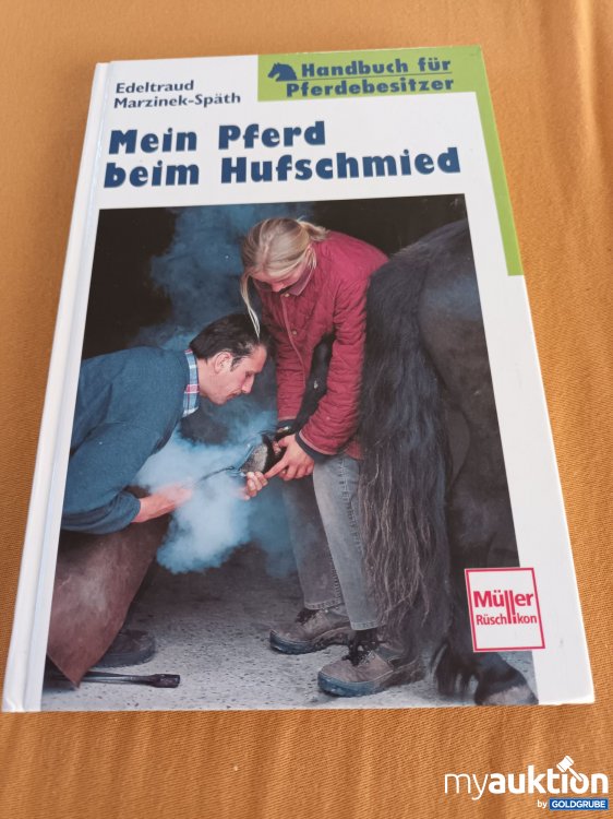 Artikel Nr. 391070: Mein Pferd beim Hufschmied