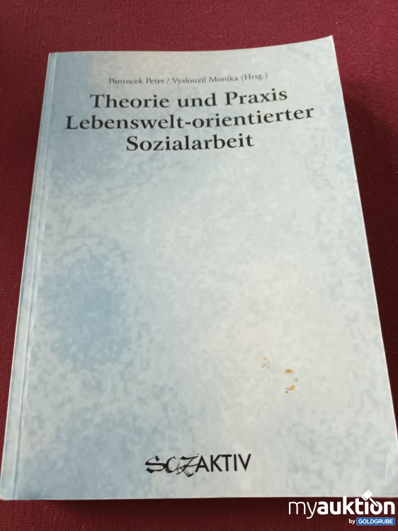 Artikel Nr. 398082: Theorie und Praxis Lebenswelt orientierter Sozialarbeit