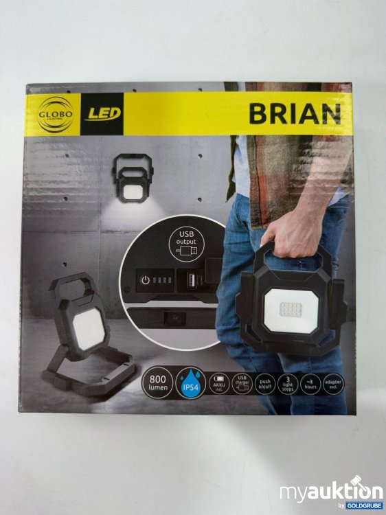 Artikel Nr. 362085: Globo LED Arbeitsleuchte Brian 800lm