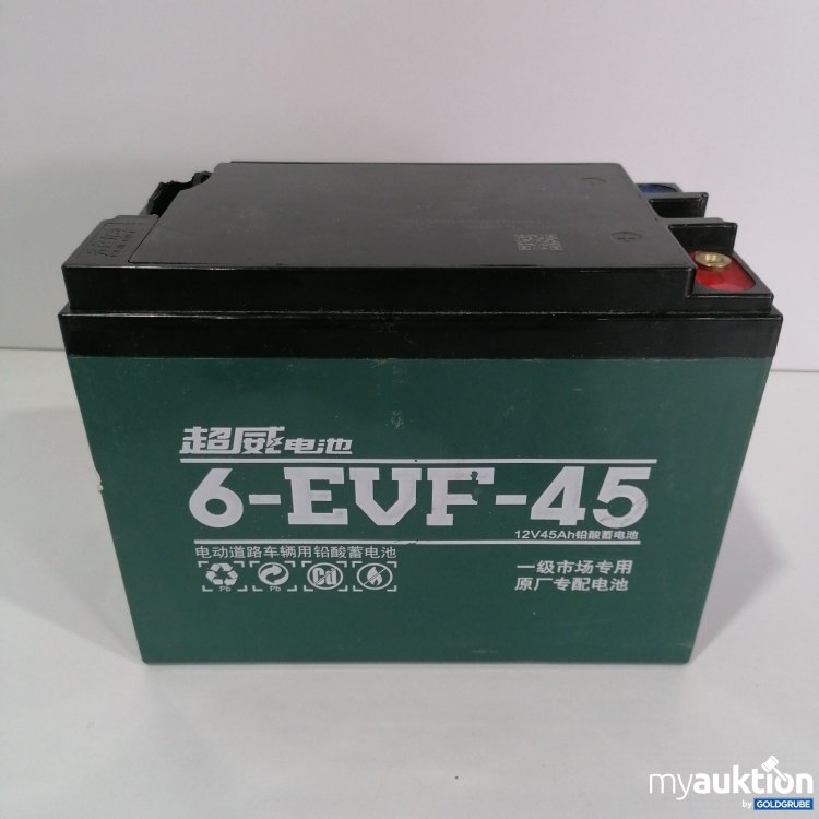 Artikel Nr. 778092: 6-EVF-45 Battery 12V45A