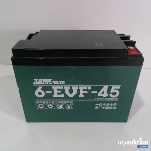 Artikel Nr. 778092: 6-EVF-45 Battery 12V45A