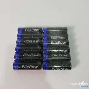 Auktion PilePow AA Alkaline 2er Pack x6 Stück 