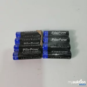 Auktion PilePow AA Alkaline 2er Pack x4 Stück 