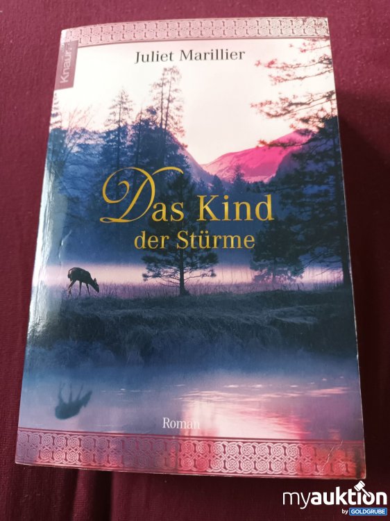 Artikel Nr. 398116: Das Kind der Stürme