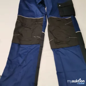 Auktion Reindl Bundhose 