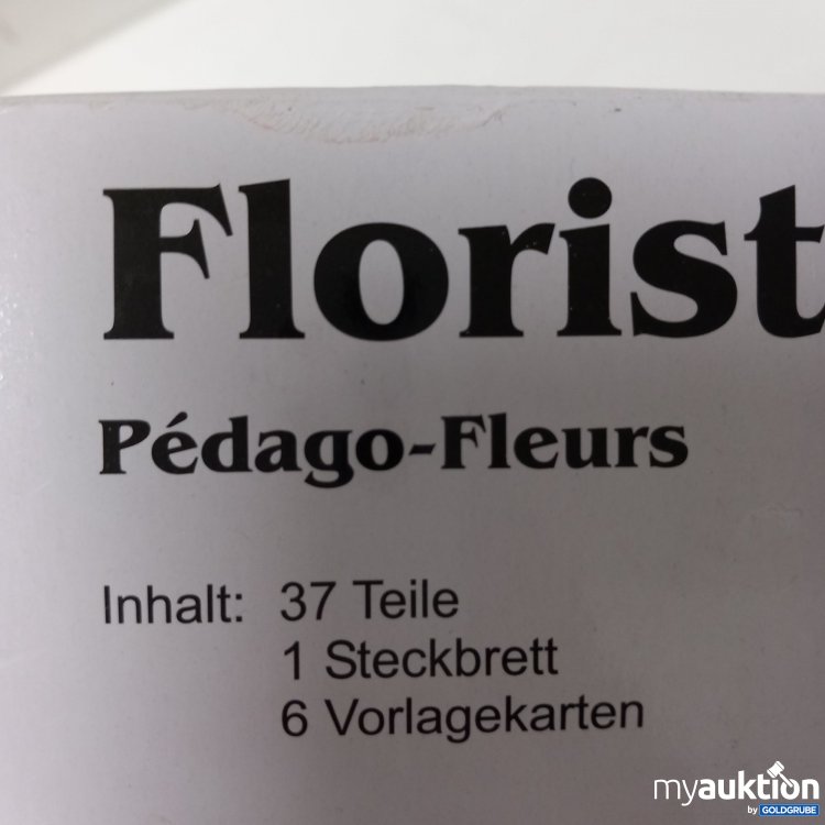 Artikel Nr. 795120: Forchtenberger Florist Einstein 