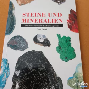 Auktion Steine und Mineralien 