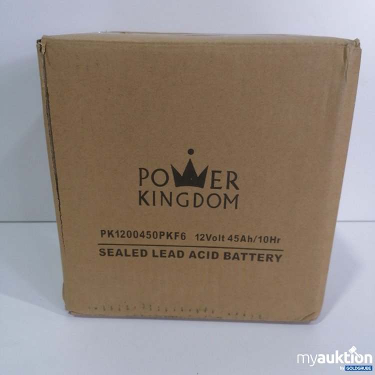 Artikel Nr. 778139: Pomet Kingdom Battery 12Volt 45Ah