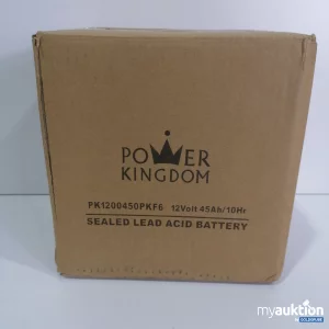 Artikel Nr. 778139: Pomet Kingdom Battery 12Volt 45Ah