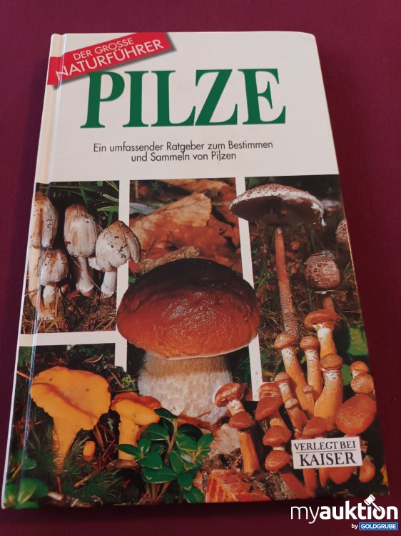 Artikel Nr. 391155: Pilze