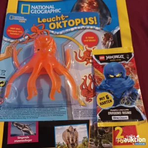 Auktion National Geographic Kids