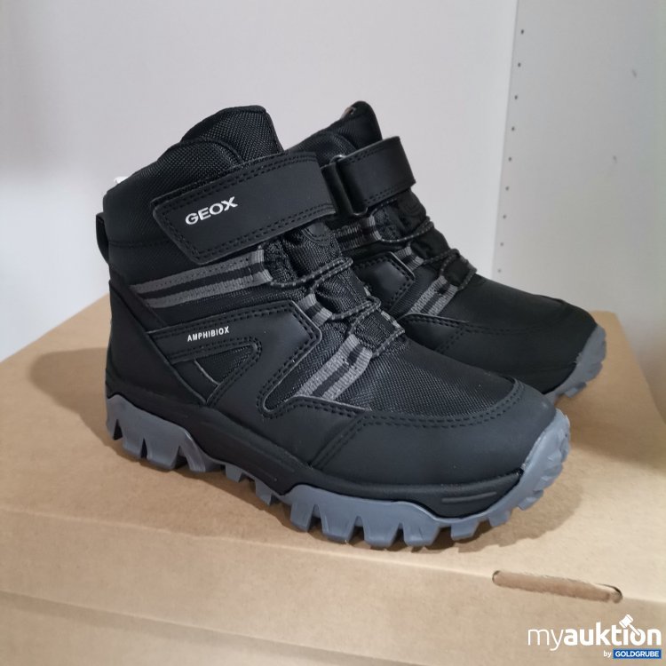 Artikel Nr. 801171: Geox Amphibiox Schuh