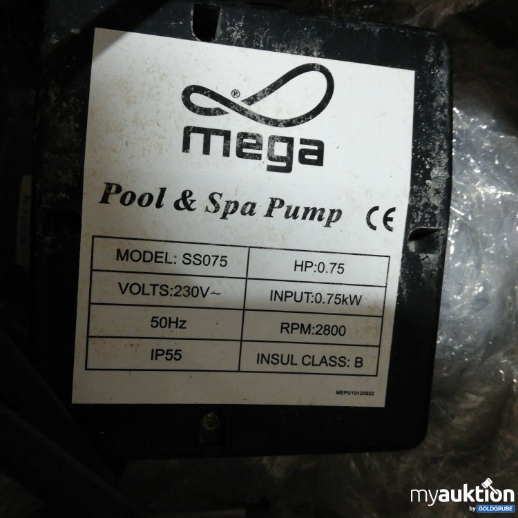 Artikel Nr. 788178: Mega Pool & Spa Pump 