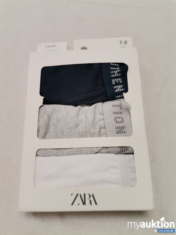 Artikel Nr. 734185: Zara Slips 