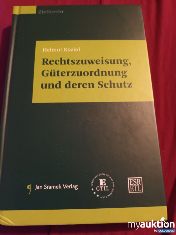 Artikel Nr. 390187: Rechtszuweisung Güterzuordnung und deren Schutz 