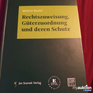 Auktion Rechtszuweisung Güterzuordnung und deren Schutz 