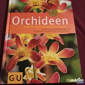 Auktion Orchideen 