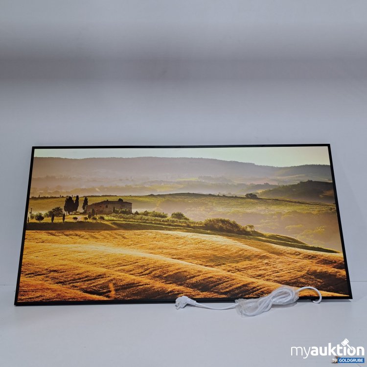 Artikel Nr. 433196: Ecowelle Infrarotheizung mit Bild 750Watt 60x120cm 