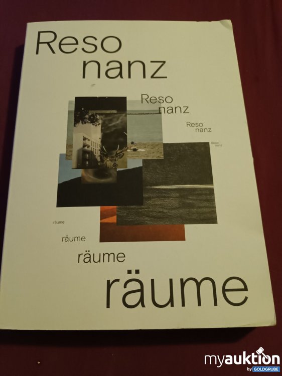 Artikel Nr. 390200: Resonanz Räume 