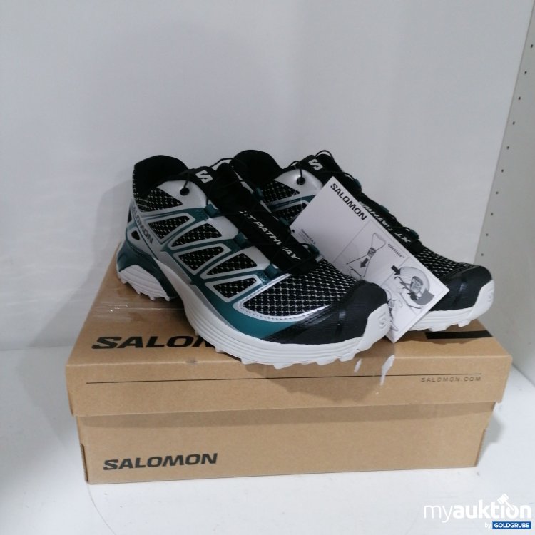 Artikel Nr. 767209: Salomon XT-Pathway Metallic 