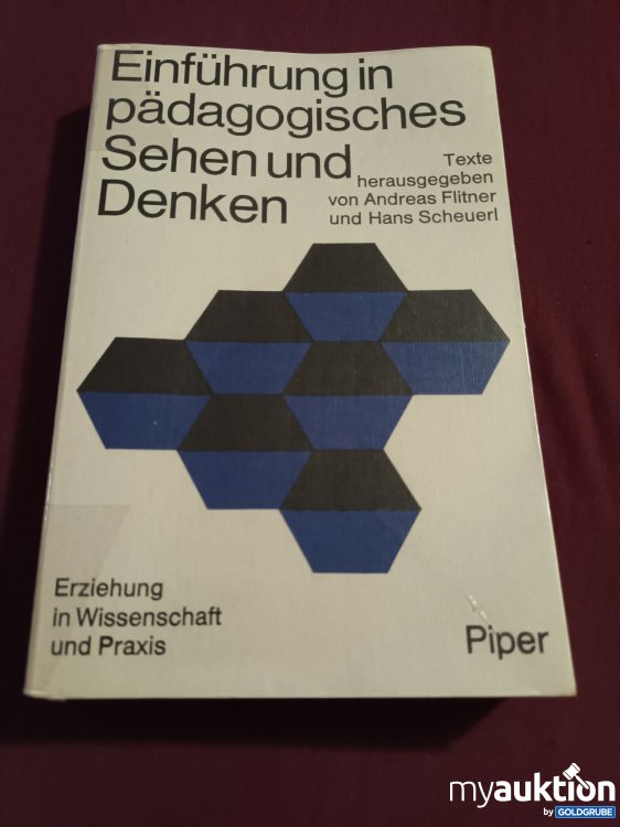 Artikel Nr. 390221: Einführung in pädagogisches Sehen und Denken 