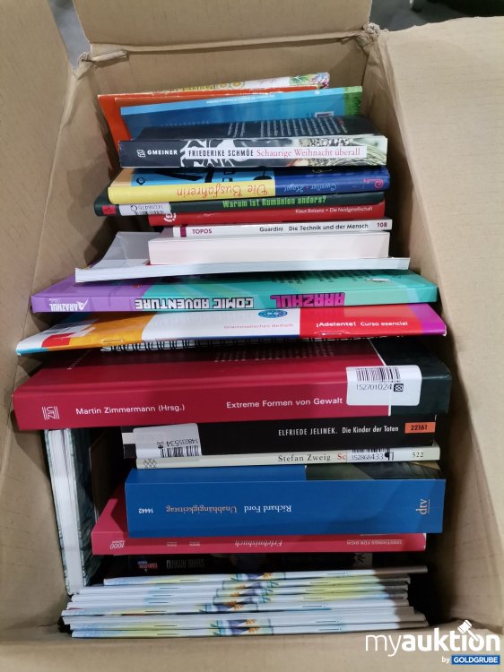 Artikel Nr. 746230: Gemischtes Bücherpaket