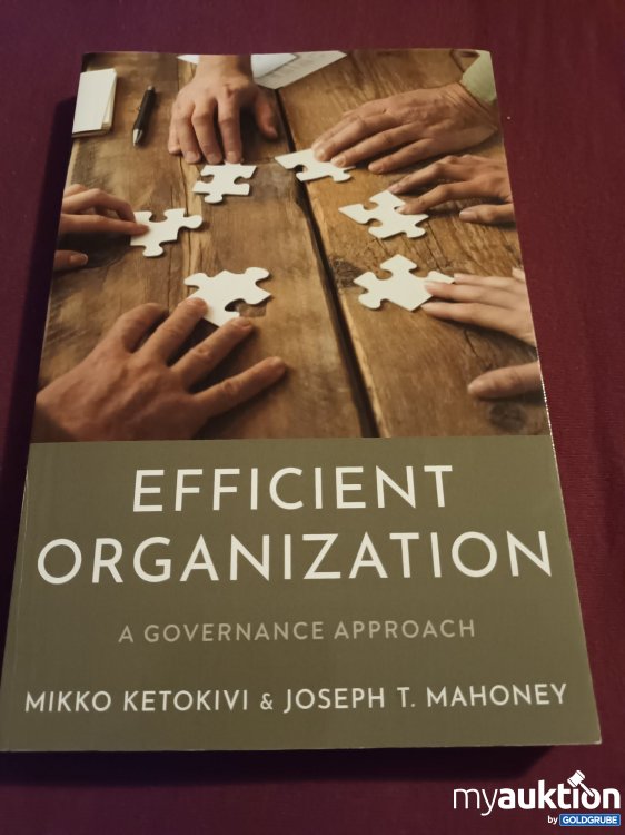 Artikel Nr. 390233: Efficient Organization