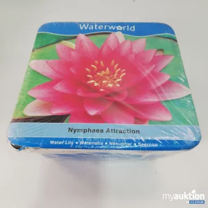 Artikel Nr. 785250: Waterworld Waterlilie