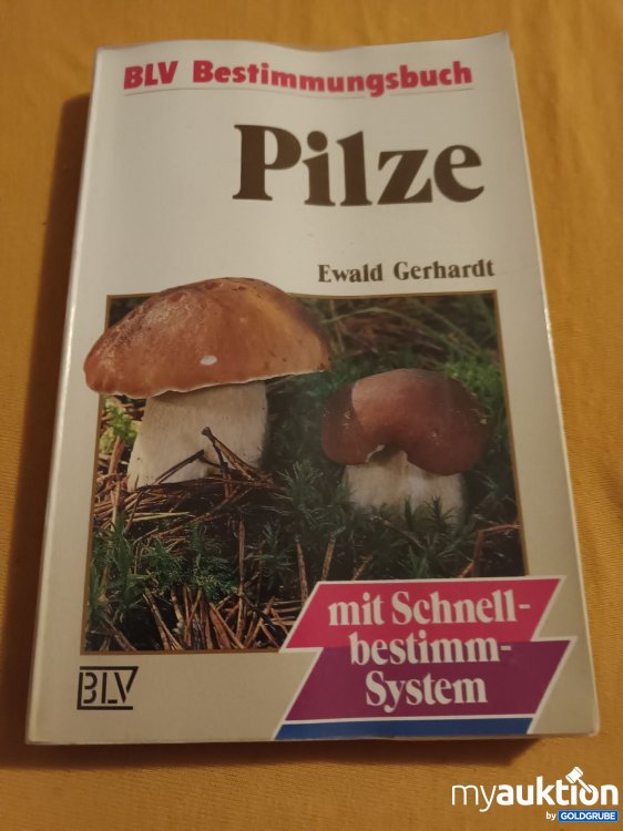 Artikel Nr. 398251: Pilze