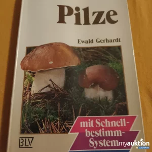 Artikel Nr. 398251: Pilze