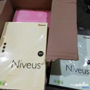 Auktion Niveaus Color Papier je 500x A3