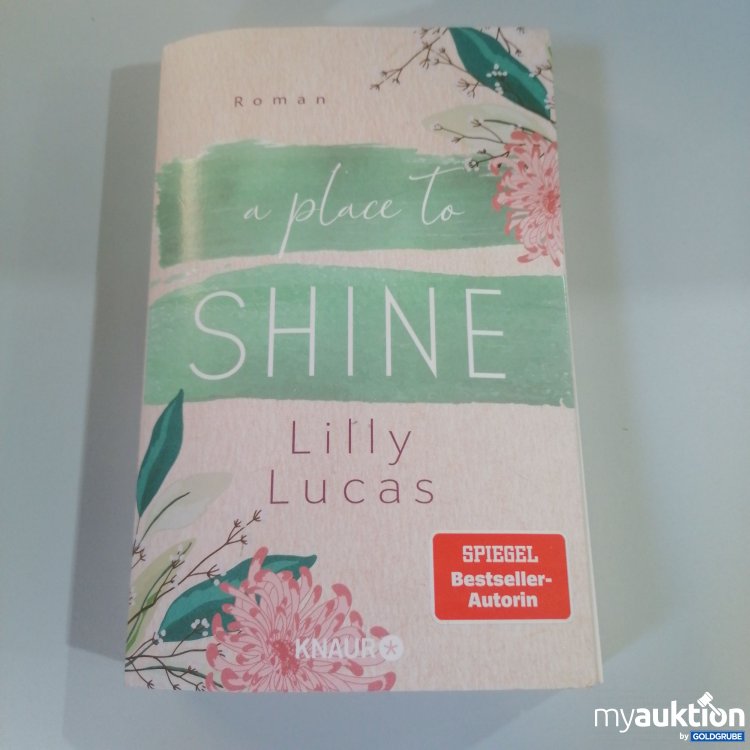 Artikel Nr. 753295: "A Place to Shine" Roman von Lilly Lucas