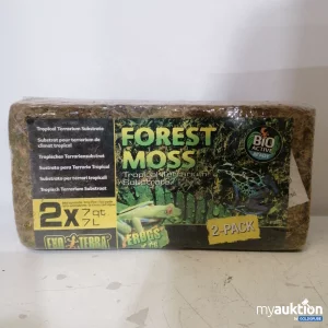 Auktion Forest Moss Terrarium-Substrat