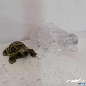 Auktion Schildkröte 