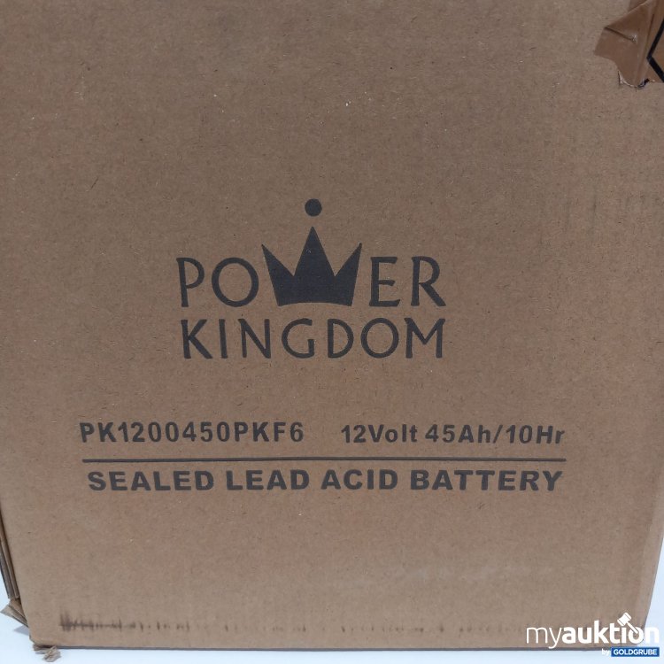 Artikel Nr. 780320: Power Kingdom Seald Lead Acid Battery 