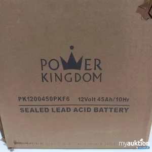 Artikel Nr. 780320: Power Kingdom Seald Lead Acid Battery 